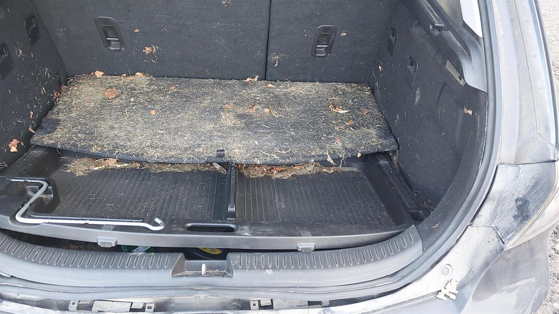 2006 Mazda Axela BKEP